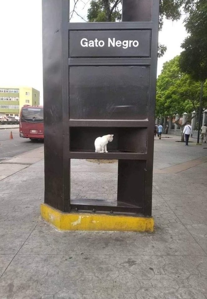 Amílcar Ortega tweet media