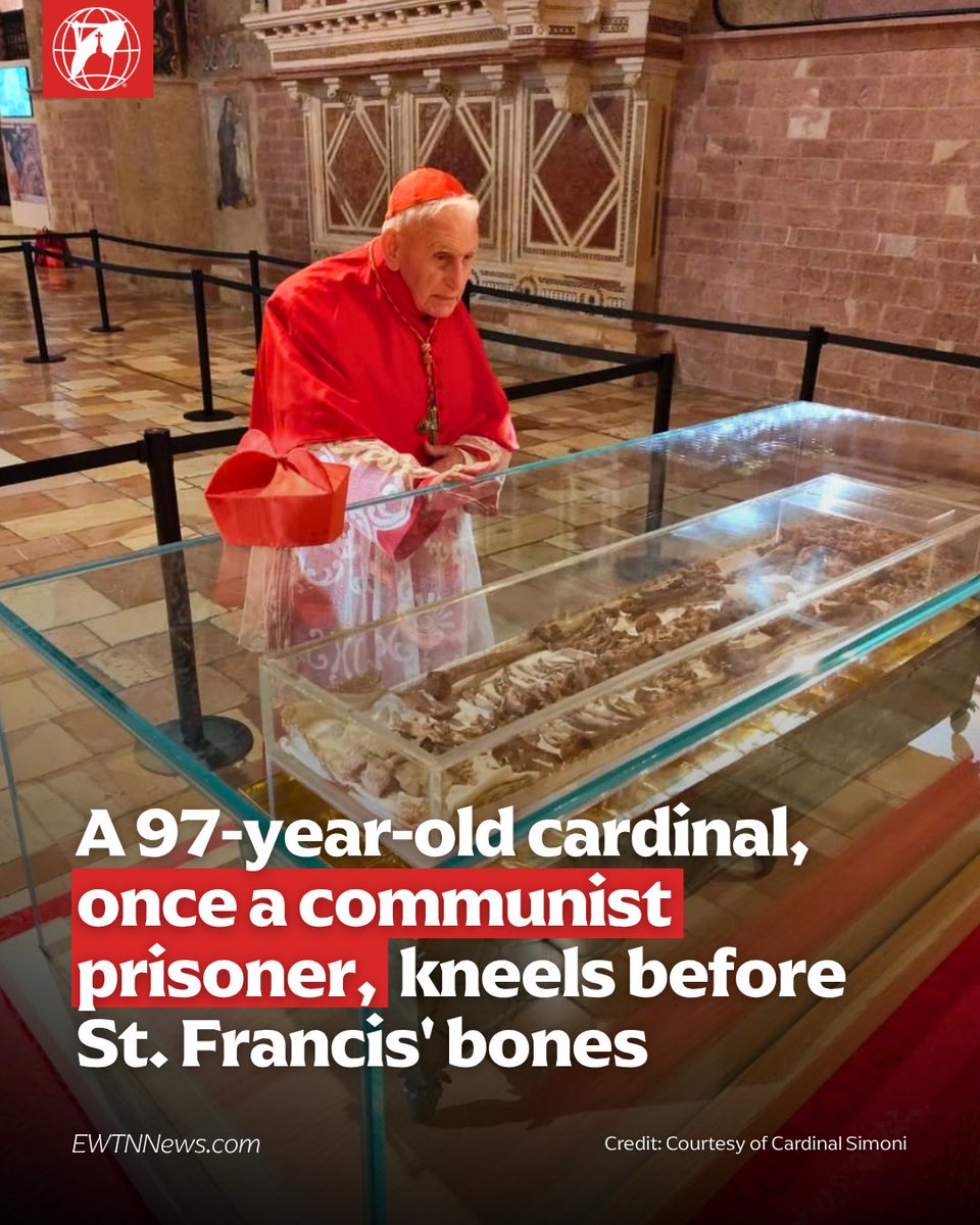 EWTN News tweet media