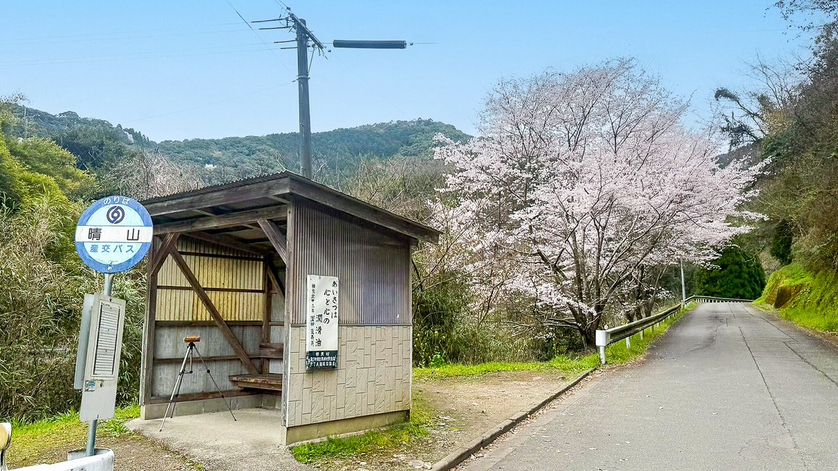 人吉球磨チャンネル tweet media