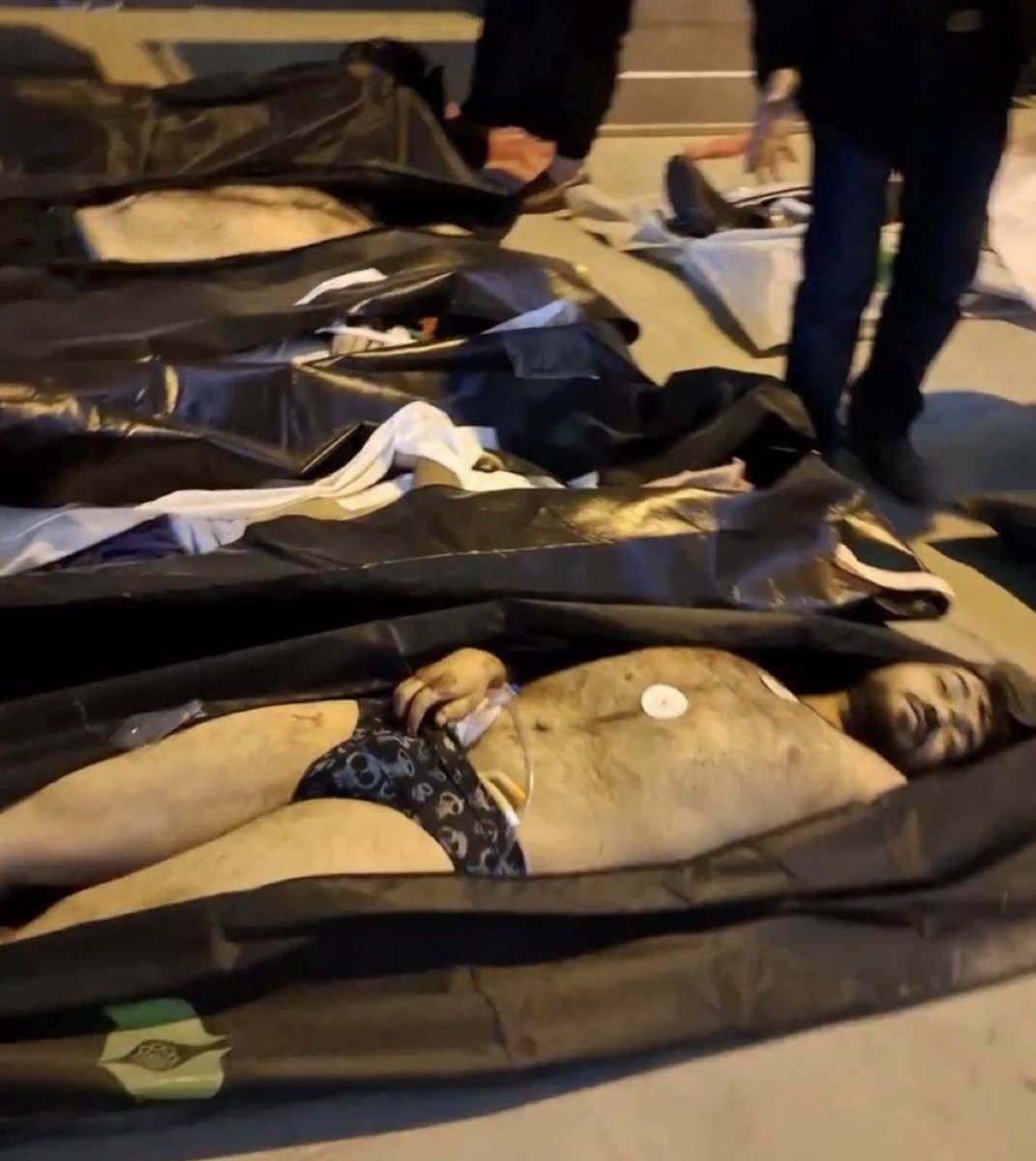 ثنا ابراهیمی | Sana Ebrahimi tweet media