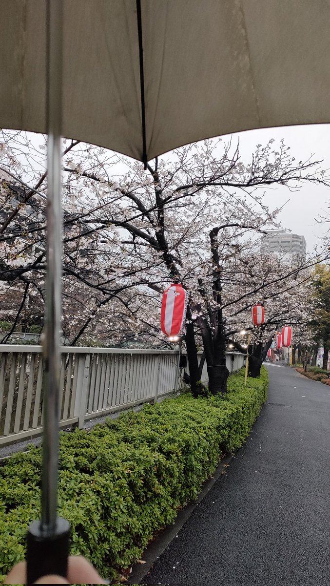 25th【スタジオイブキ】モーションキャプチャースタジオ tweet media