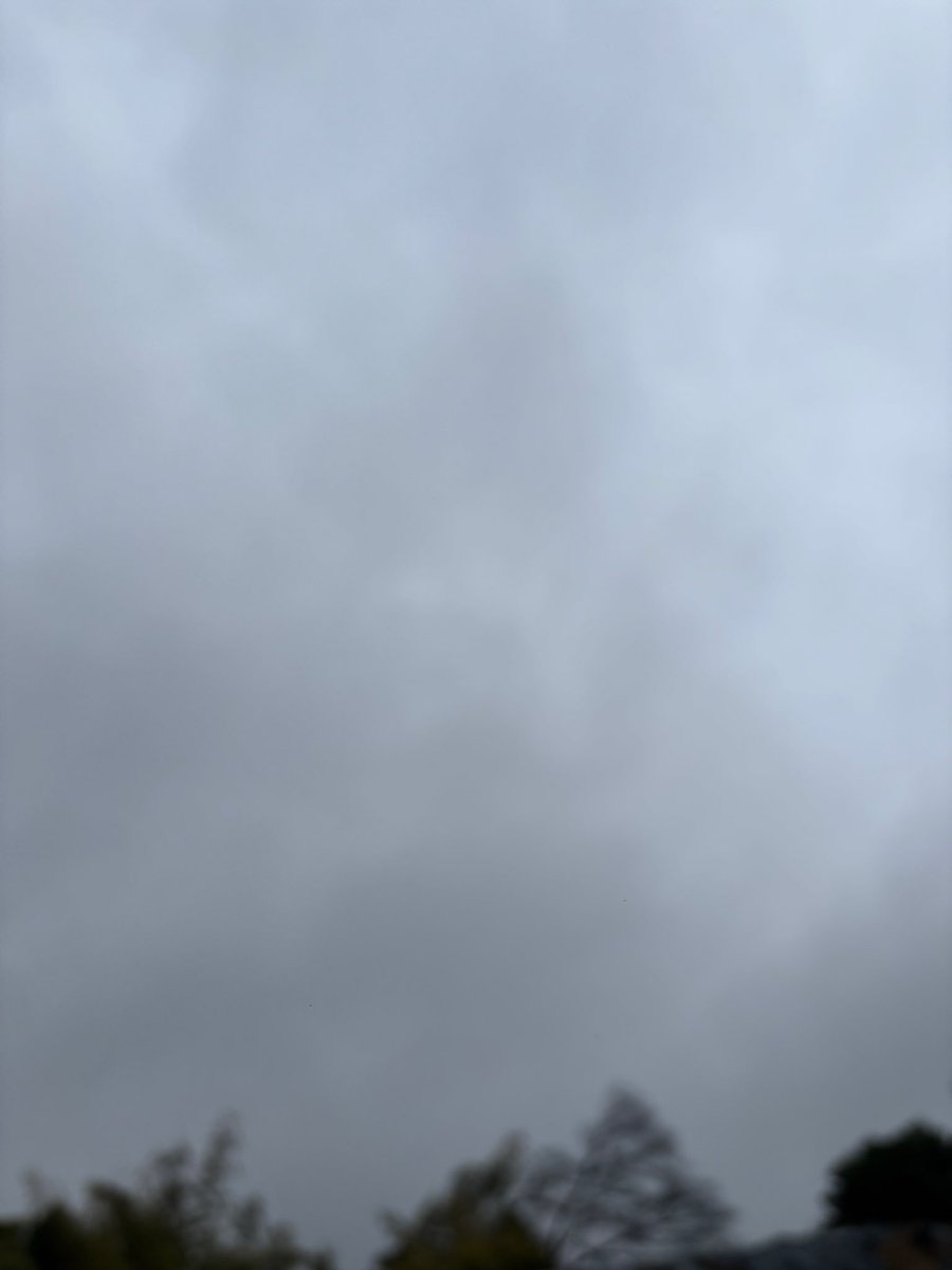 RIGAL企画事務所 tweet media