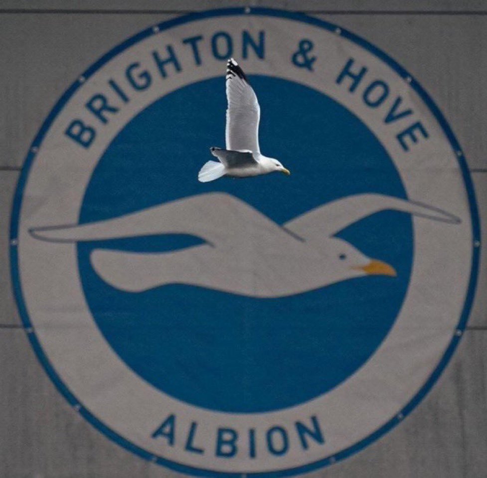 Sir.Nawaf tweet media