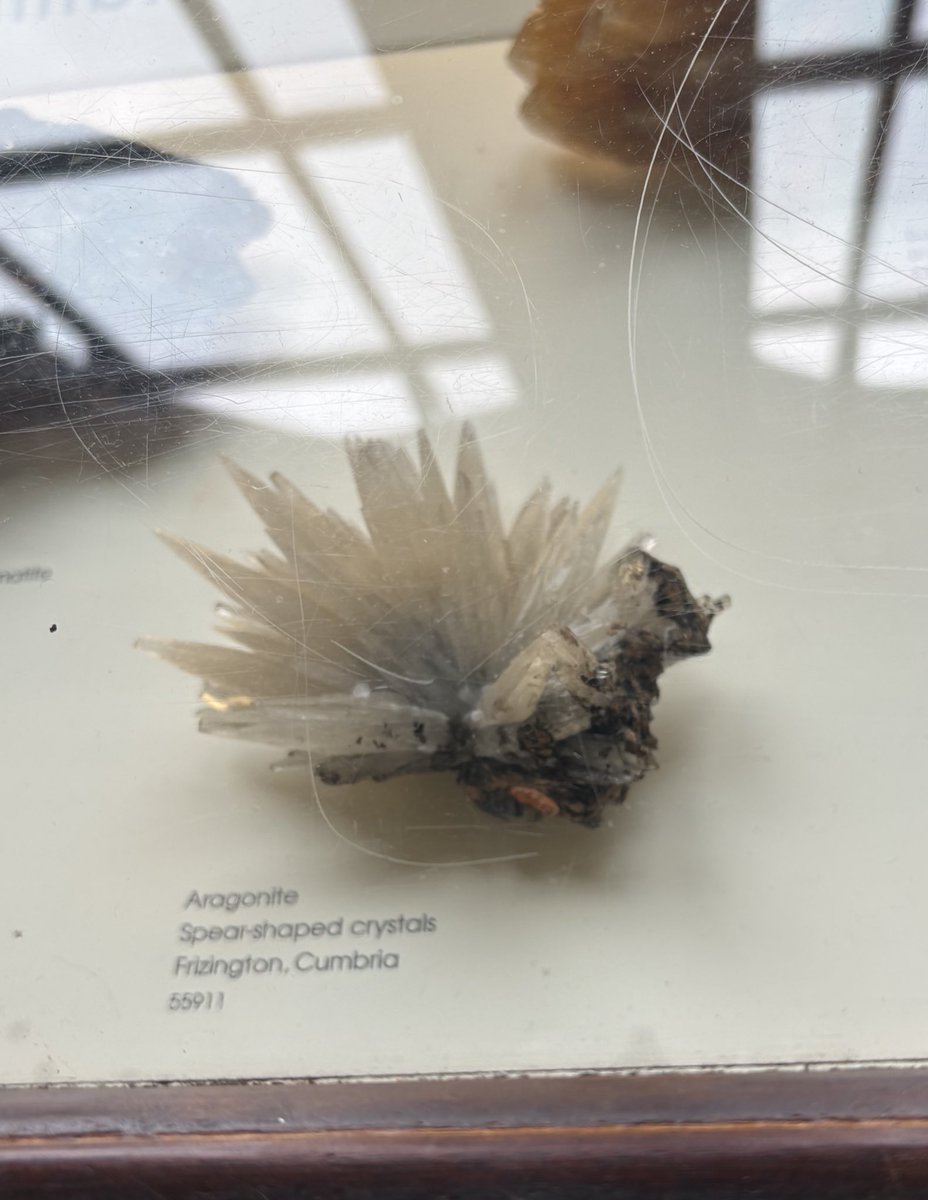 jae!!! ★ tweet media