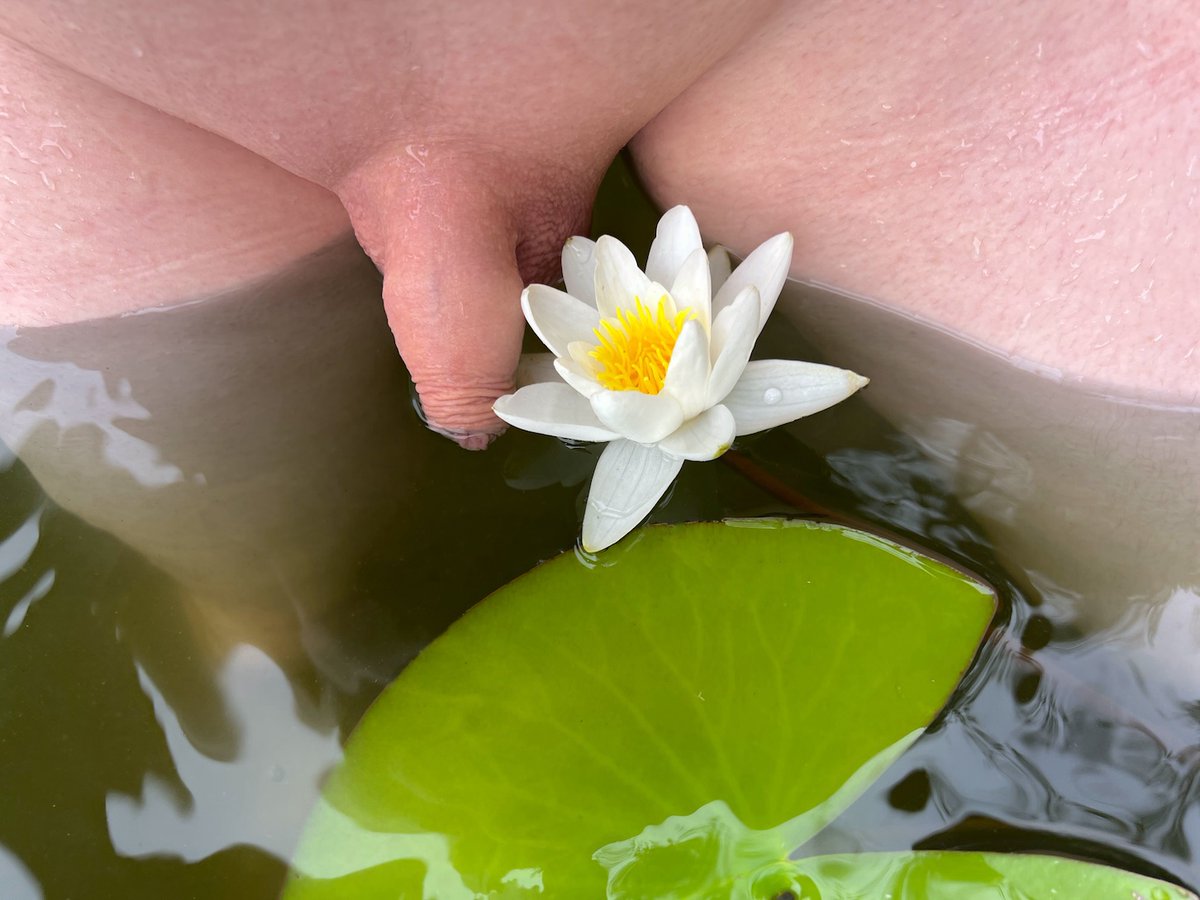 smalldickuncut tweet media