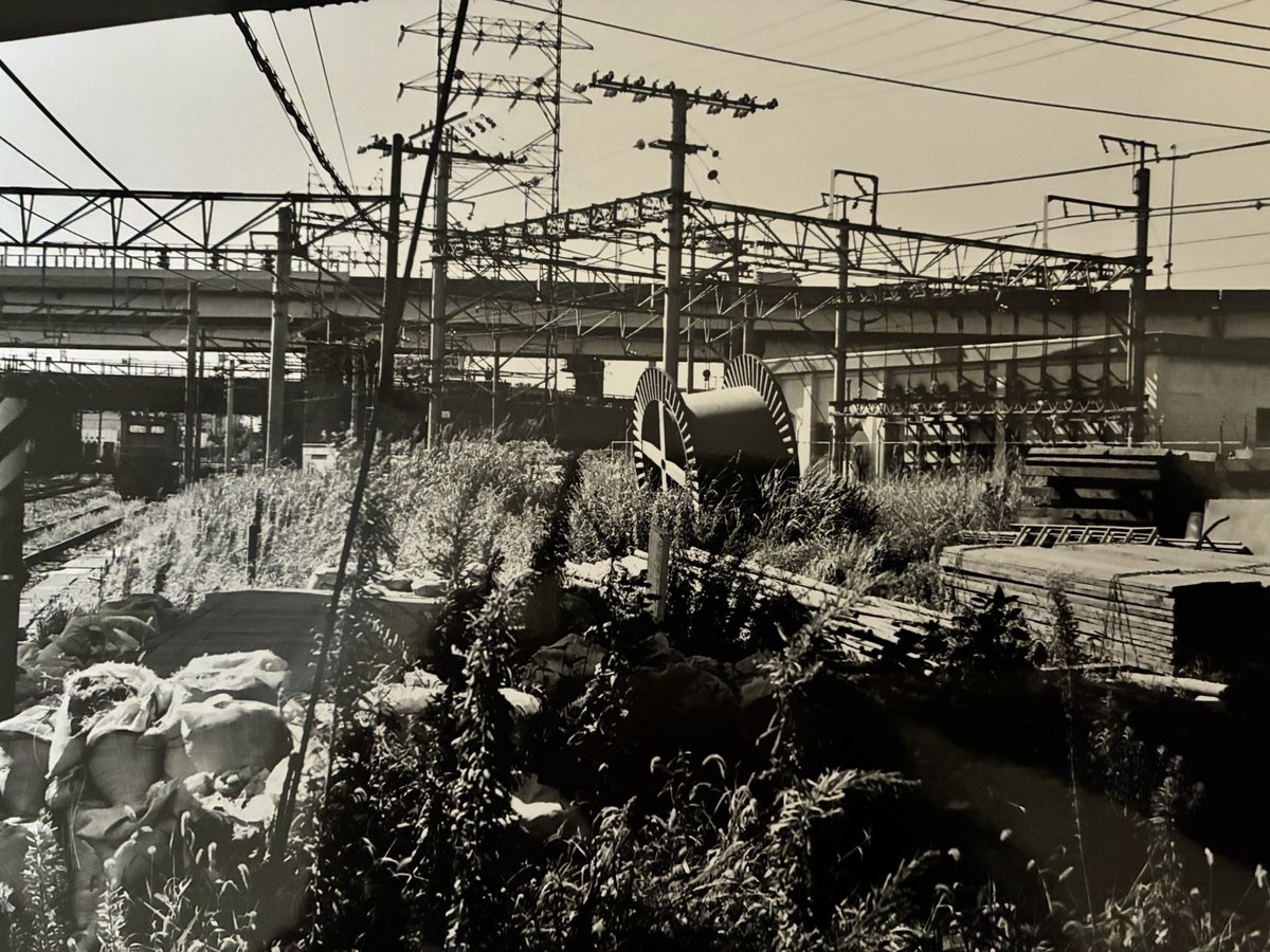 金村修 Osamu Kanemura tweet media