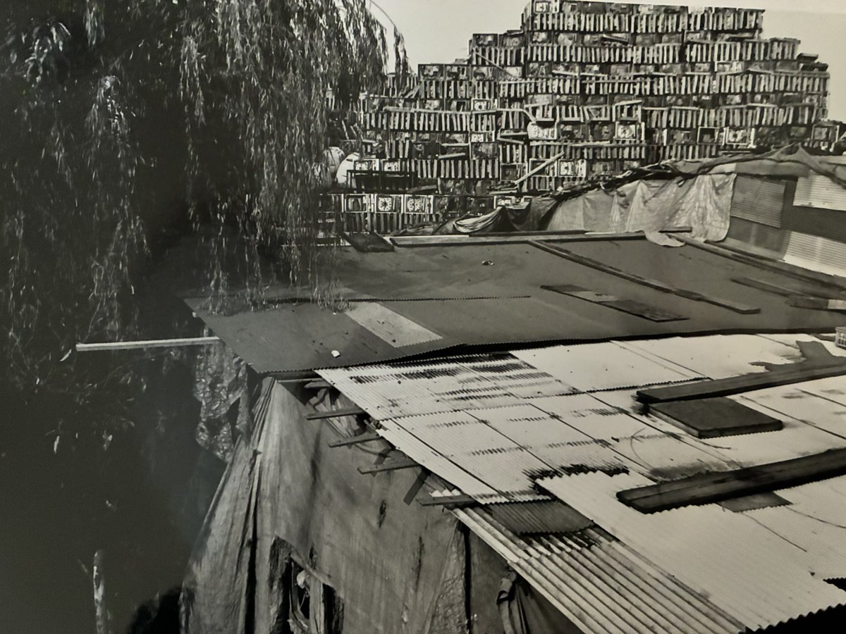 金村修 Osamu Kanemura tweet media