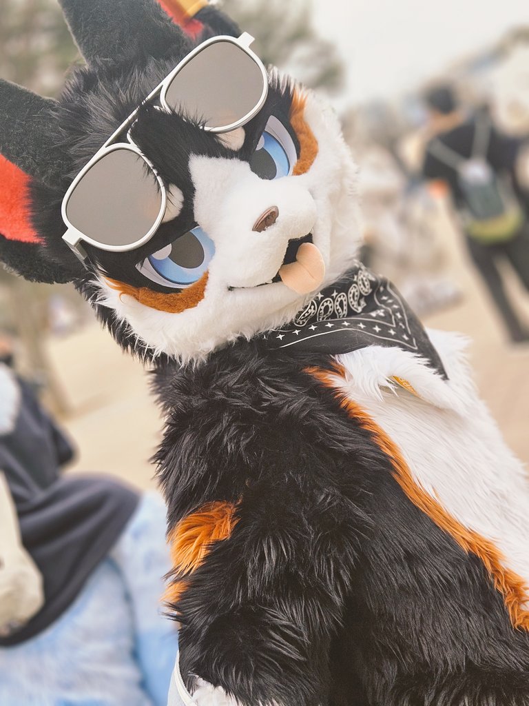 테오 THEO 🔜 5코? tweet media