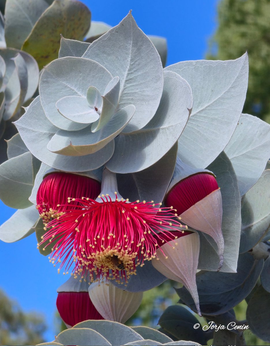 Into Nature Photography with Jorja tweet media