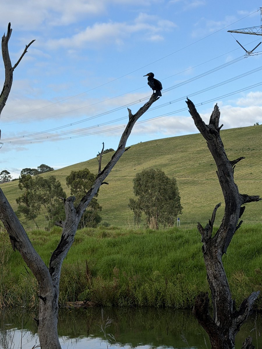 ✨Enjoy the Day✨ tweet media