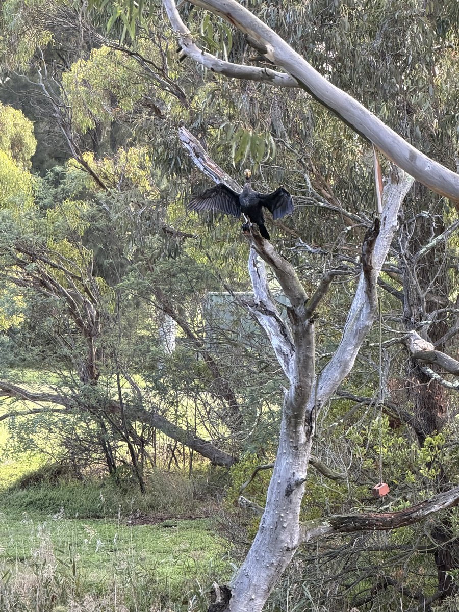 ✨Enjoy the Day✨ tweet media