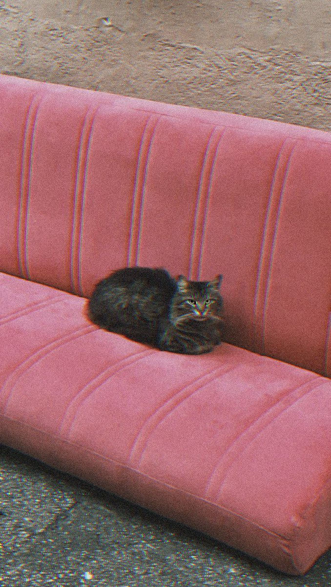 makamlar kalıcı değildir kim sahiplendi koltuğu