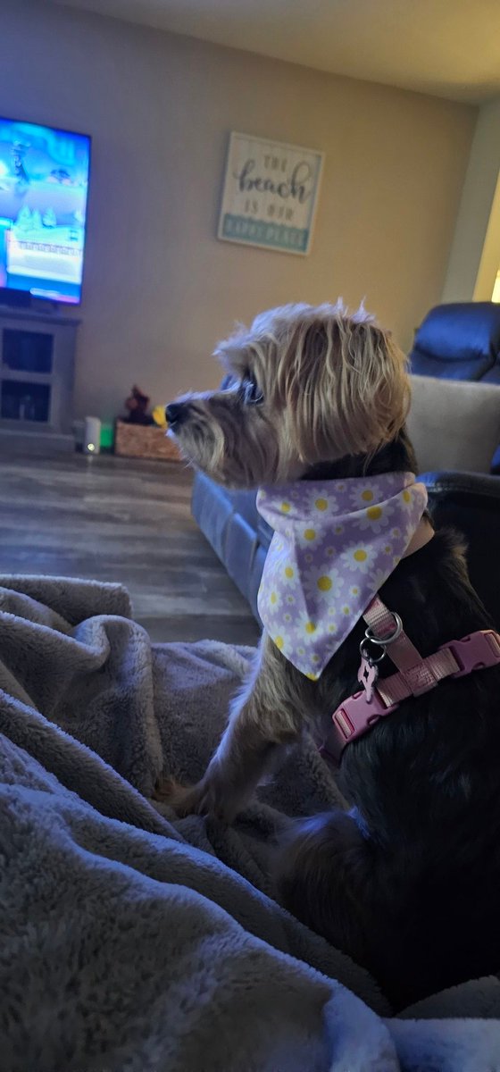 Edward 🇺🇸 tweet media