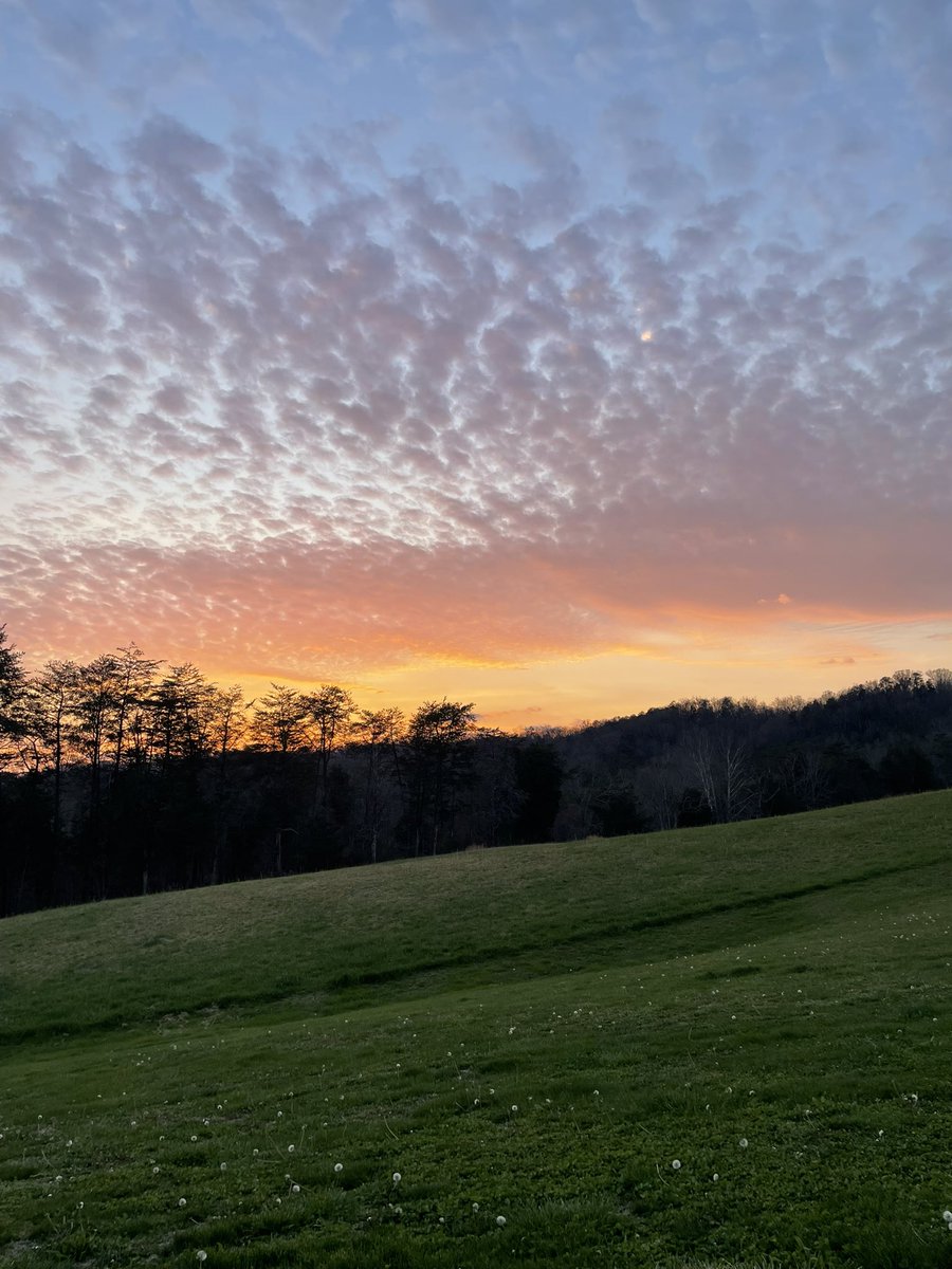 SullenSerf tweet media