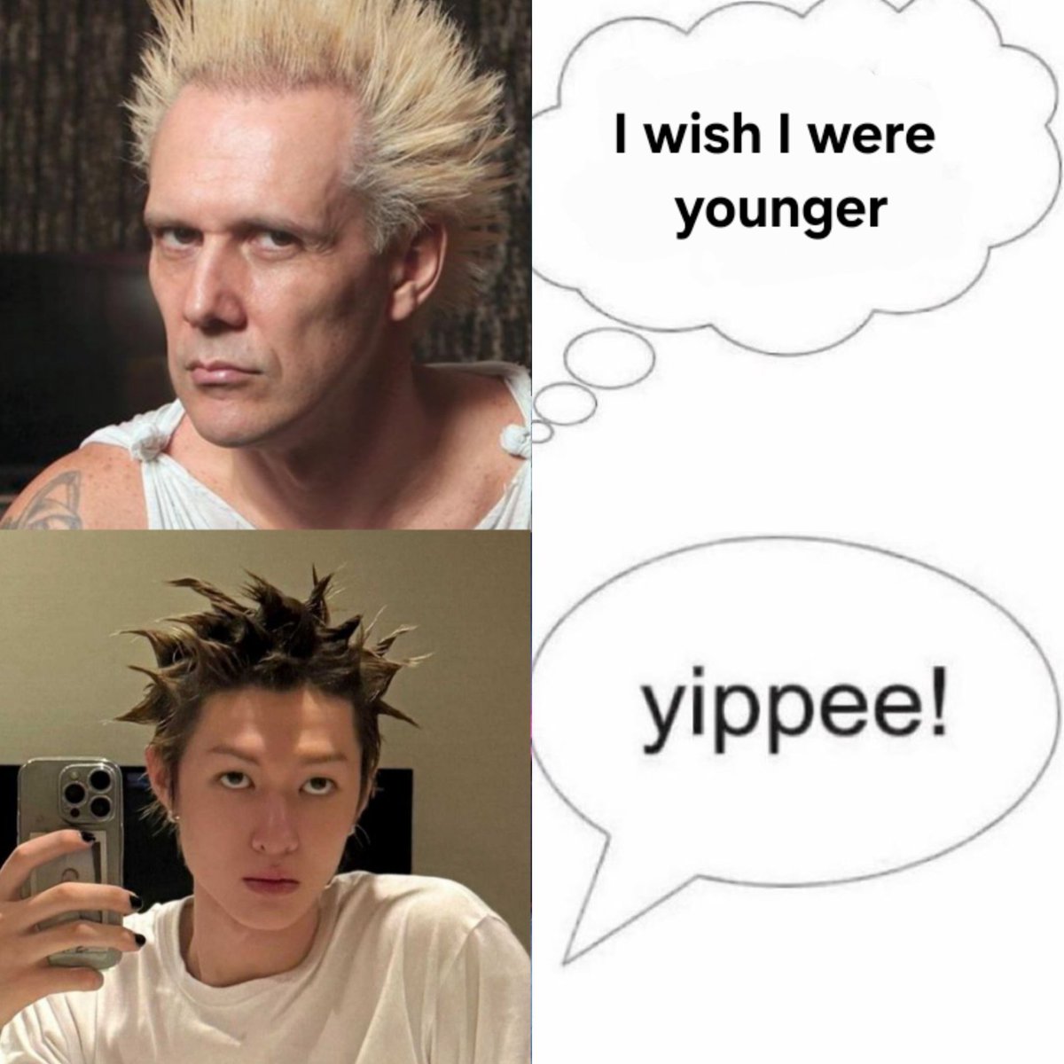 acervo cortis tweet media