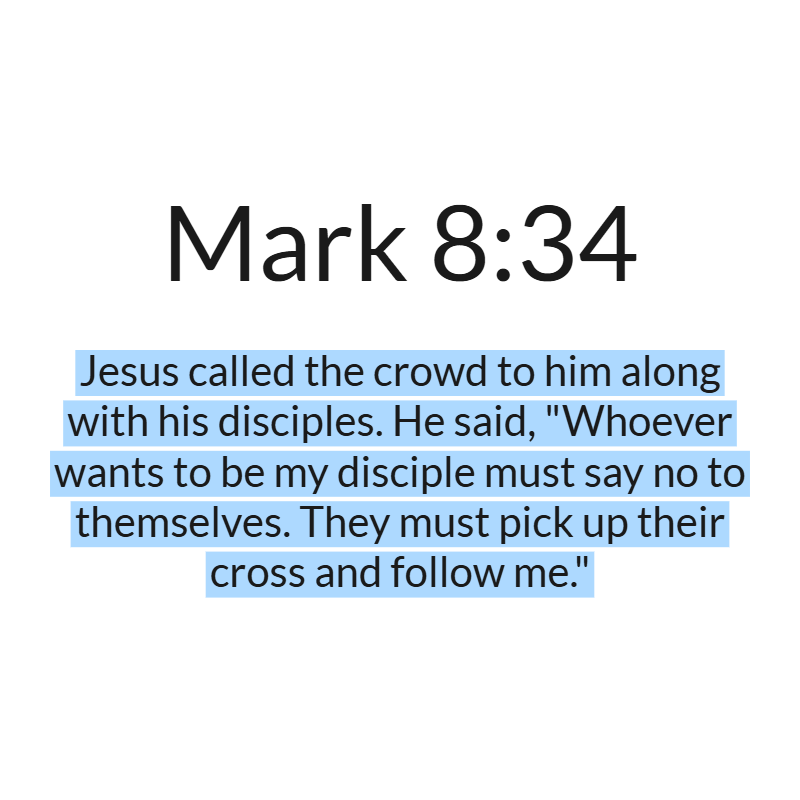 Jesus Insight tweet media