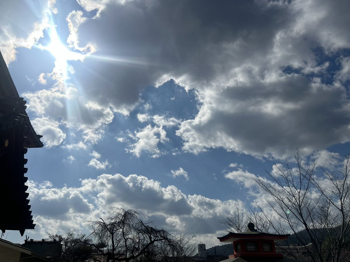 杉田甲斐人 tweet media