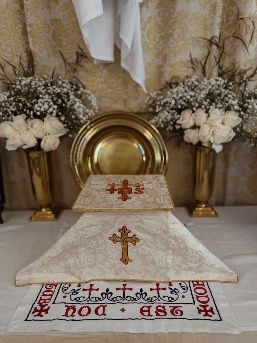 Fr. Brandon ⚓️ tweet media