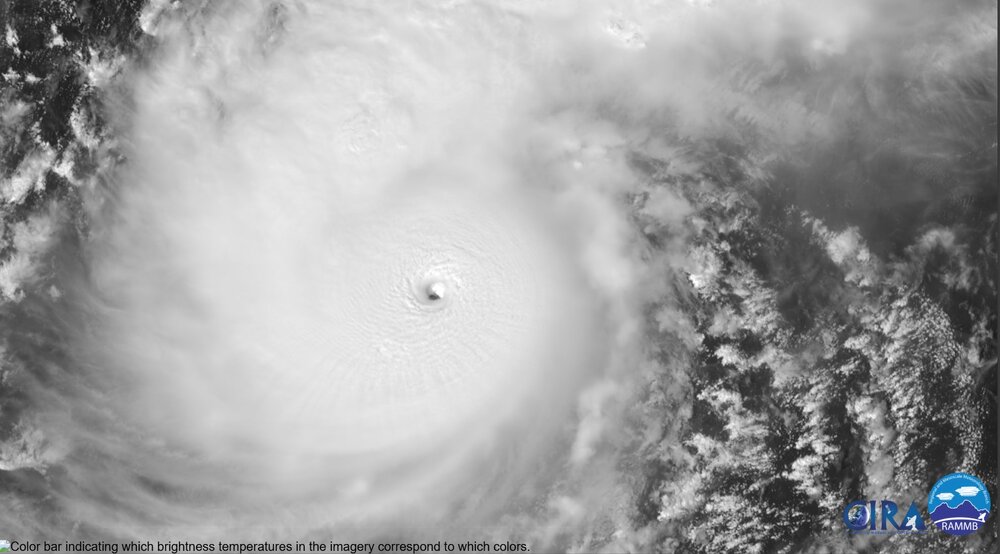 Tony Brite tweet media