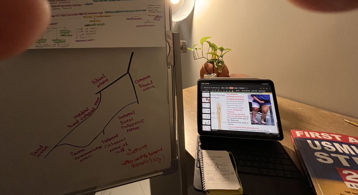 Asayil Ghazai tweet media