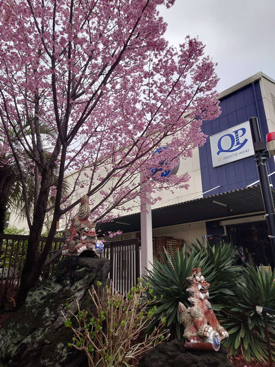 株式会社九飛勢螺～QP Fastening works～ピアスビス＆ピアスタ＆ファスナーズ tweet media