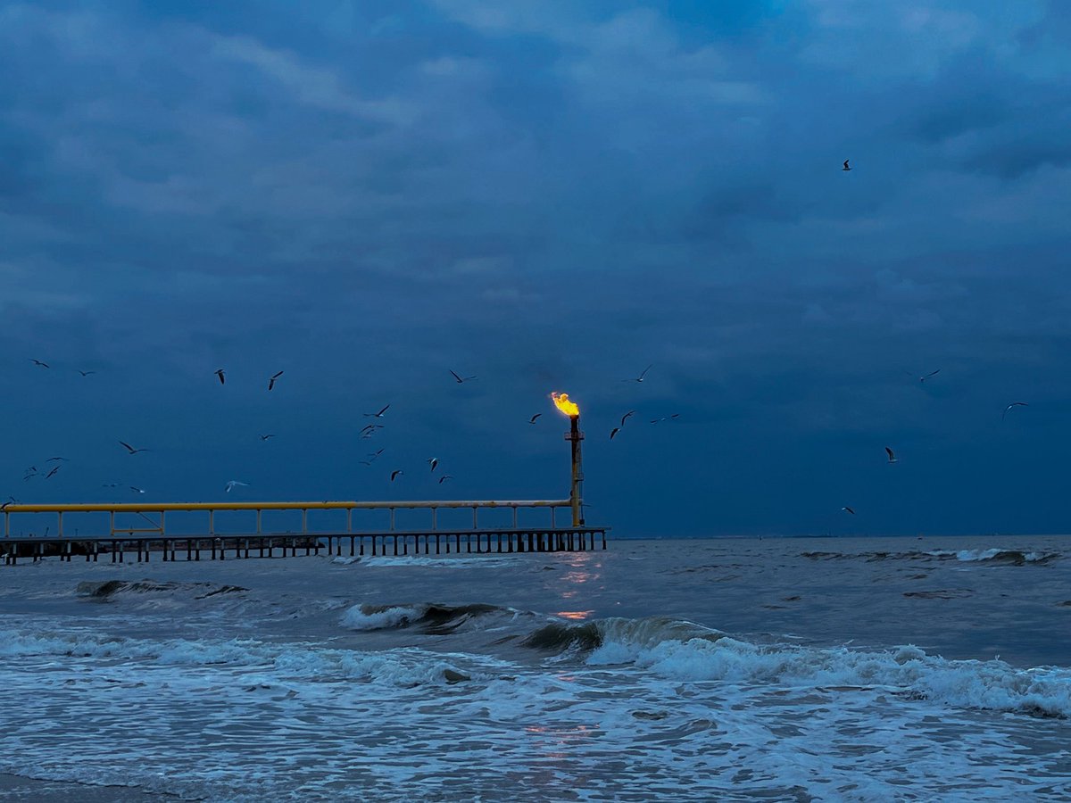 چوني سوبرانو tweet media