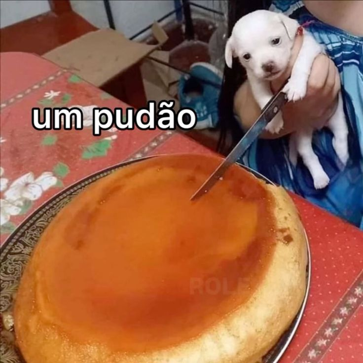 「✦Bebop✦」 tweet media