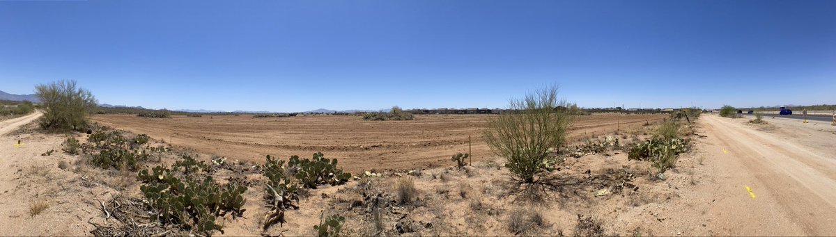 Tucson Office Governmental Abuse tweet media