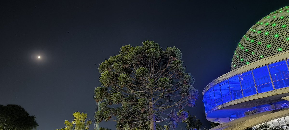 Estefanía Coluccio tweet media