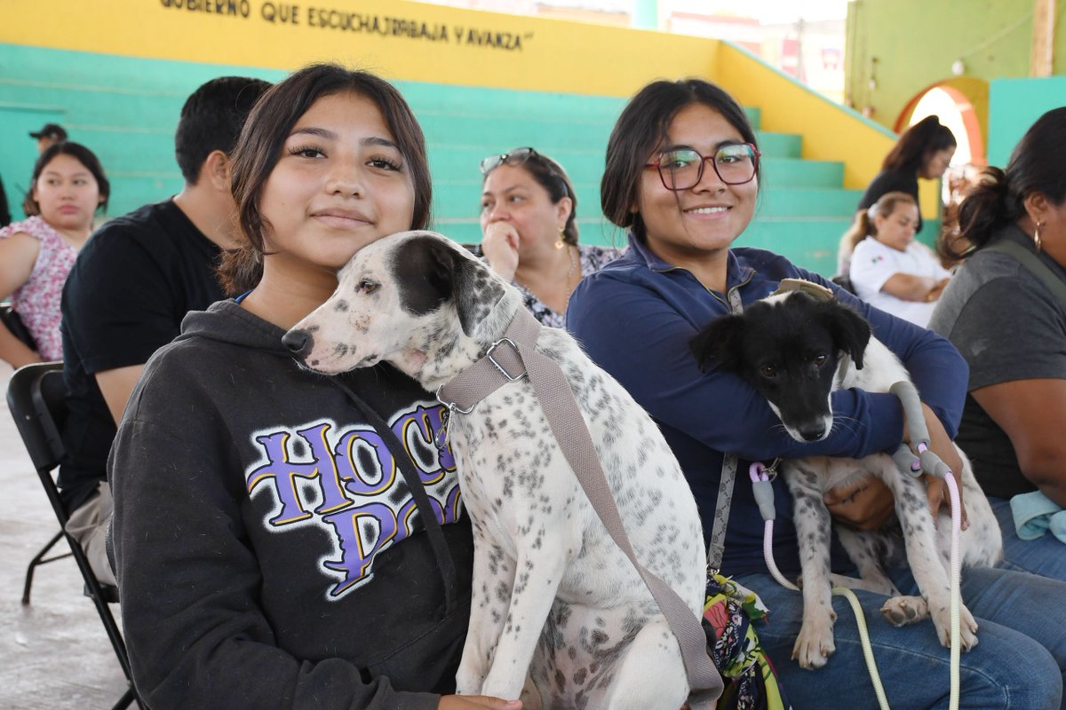 Santiago Pérez C tweet media