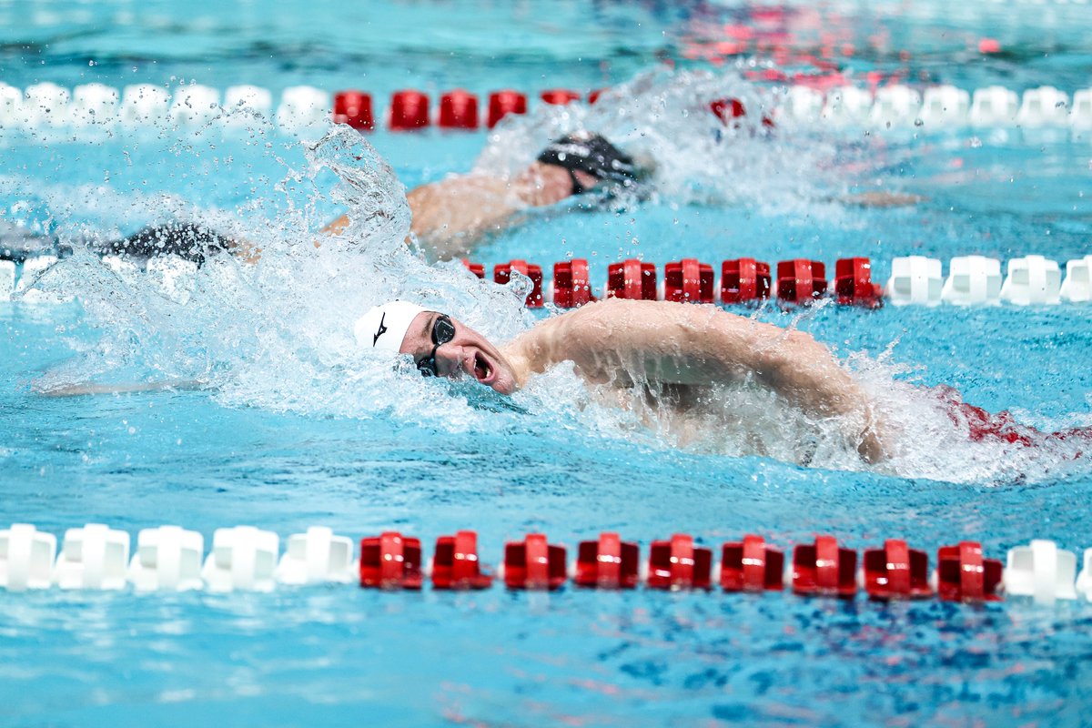UGASwimDive's tweet photo. RECAP | Green's All-American mile and van Renen's historic leadoff highlight first day of NCAA Championships.

📰 https://t.co/Xwzhv6dZq0

#NCAASwimDive | #GoDawgs 🐾 https://t.co/NcradWwYLj