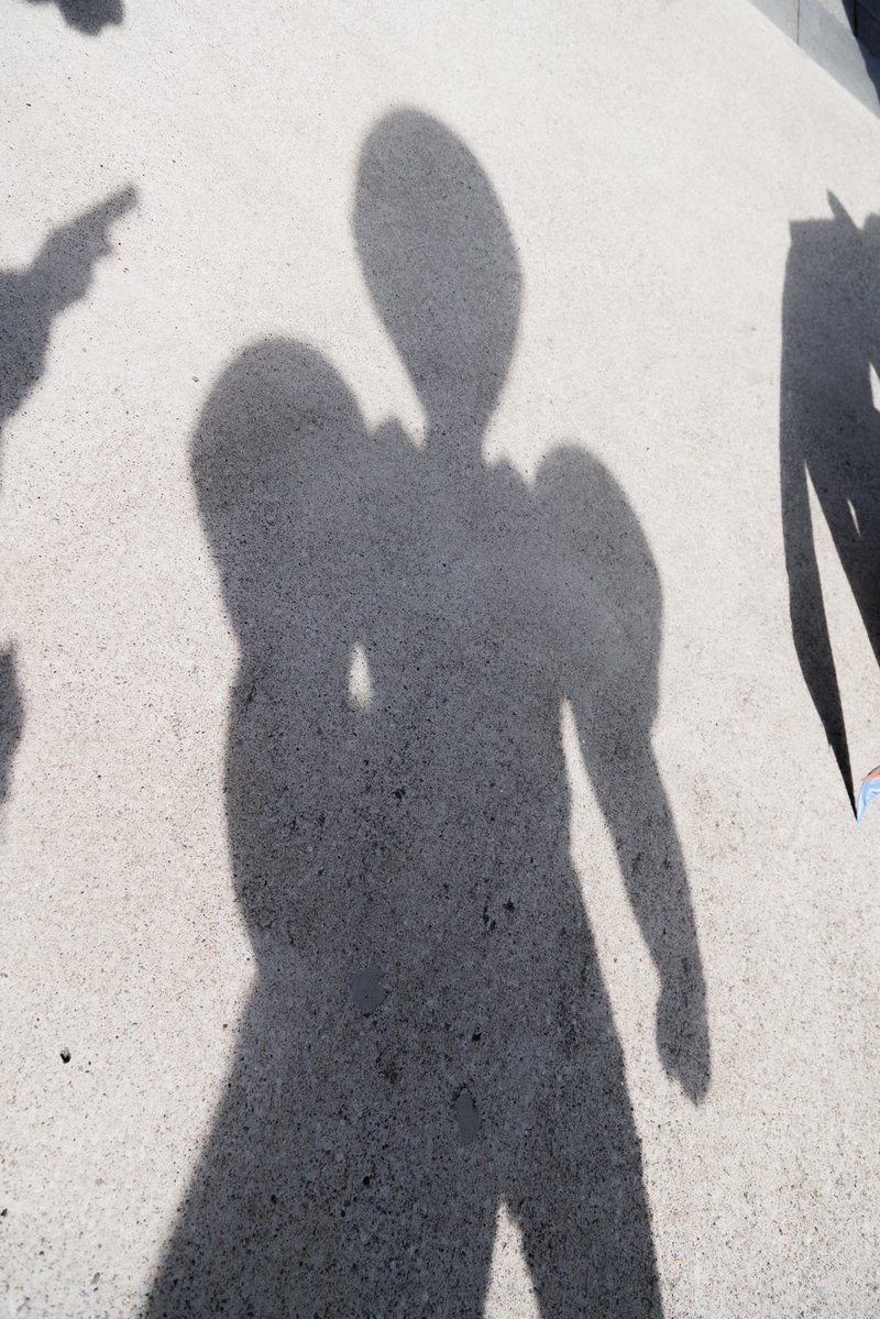 もいもい8号🦁 tweet media