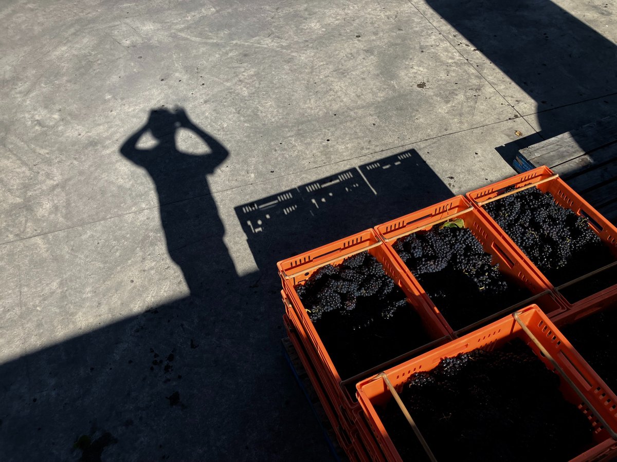 D E V O T U S tweet media