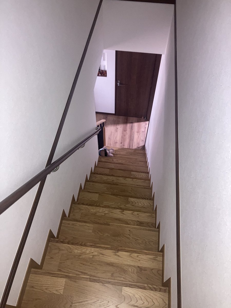 どんぐりfactory@(デンレゼ尊) tweet media