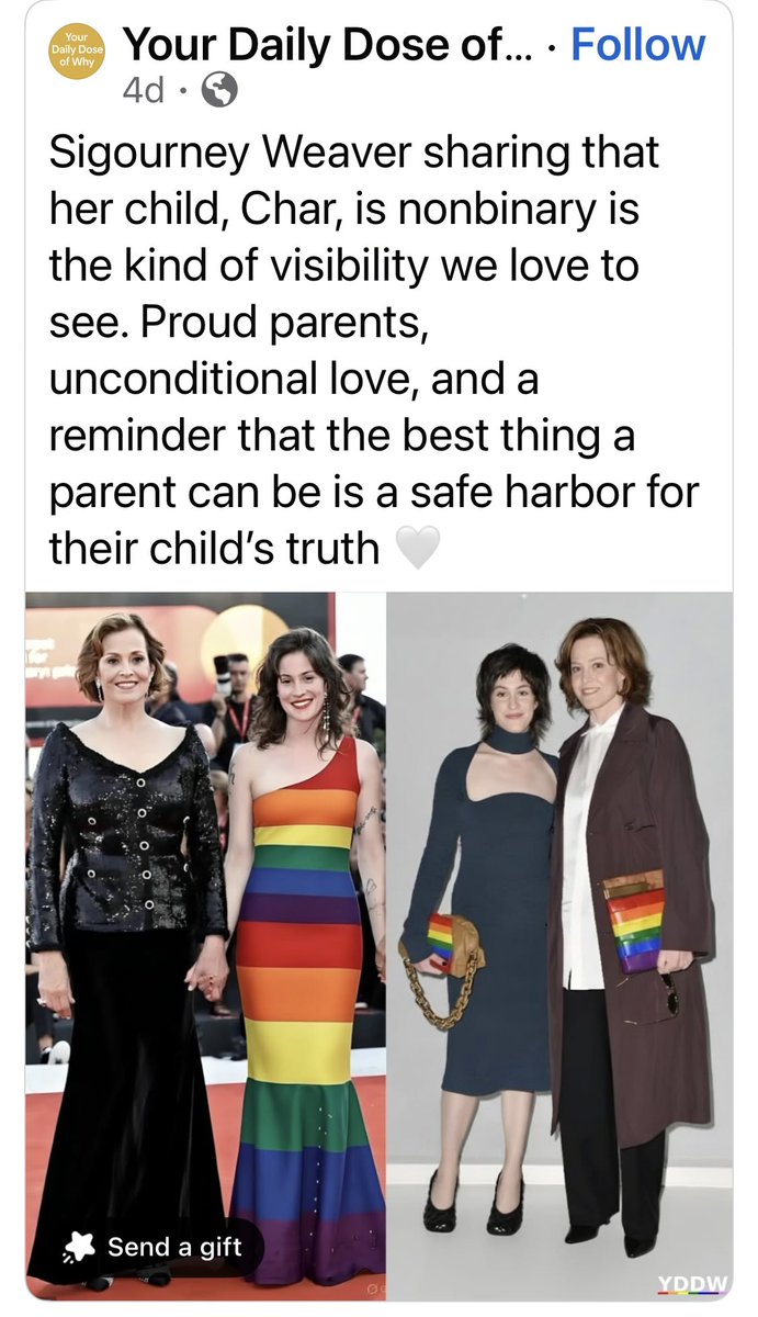 Belissa Cohen UltraTERF tweet media