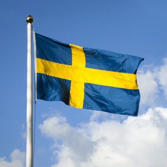 Tendencias y Tuits Borrados tweet media