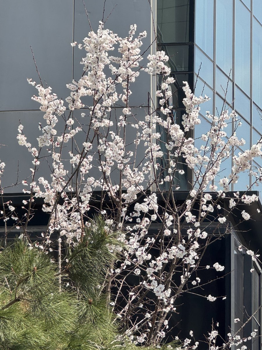 ^ㅣ^ㅣ tweet media