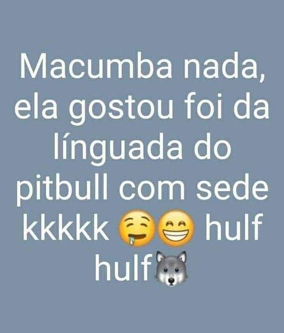 Traficante de Memes tweet media