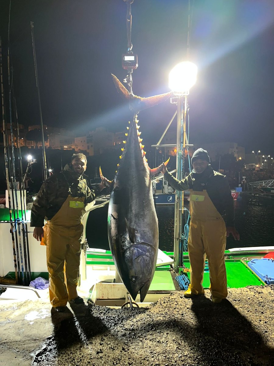 🎣 Fuerteventura inicia la temporada del atún rojo con ejemplares gigantes que superan los 300 kilos.
#Año2026 #AtúnRojo #campañapesquera #Canarias #Cofradía #Fuerteventura #GranTarajal #Noticias #Pesca #rtsfuerteventura
rtsfuerteventura.es/impacto-en-fue…