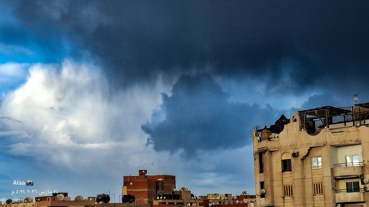 AlaaSalah1's tweet photo. #تصويري https://t.co/O9Mp4ovnTN