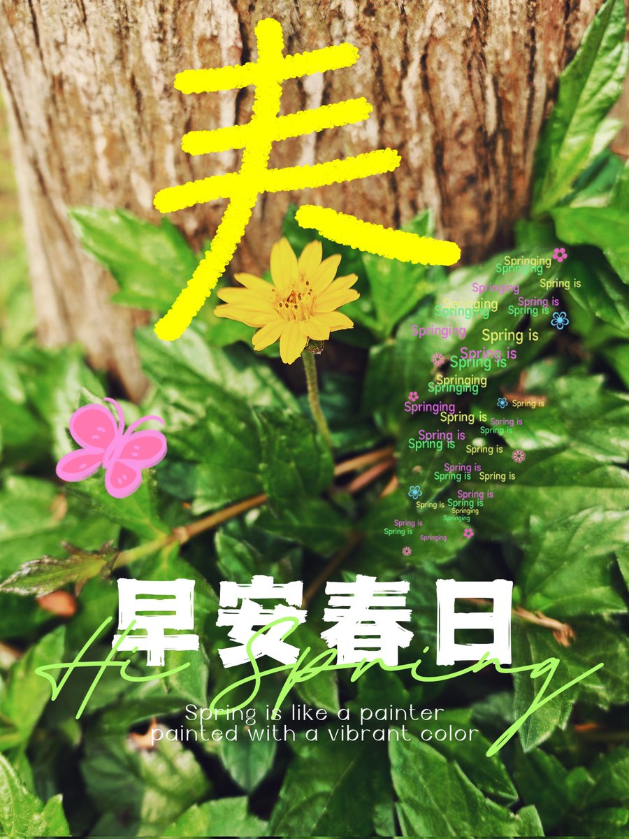 🇨🇳飞天小熊猫 tweet media