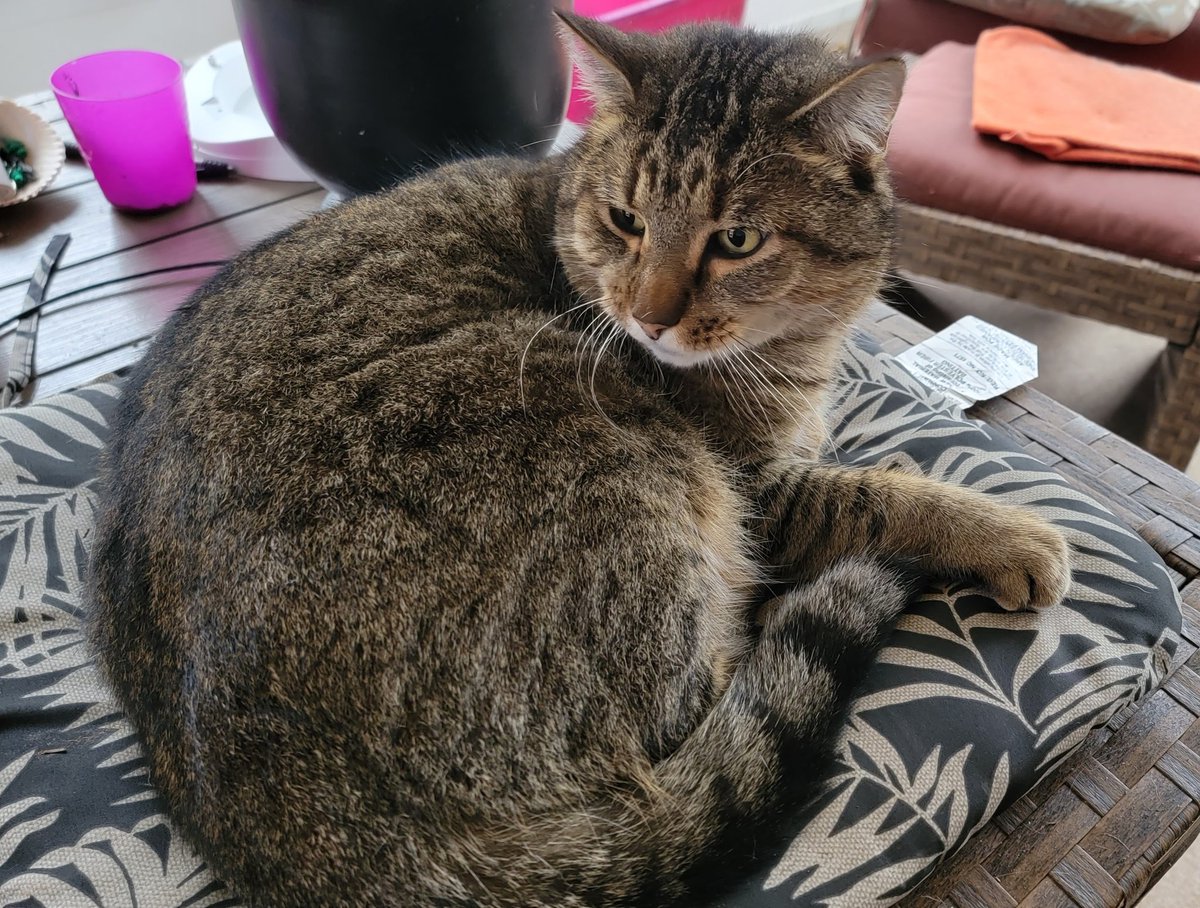 willzoneium tweet media