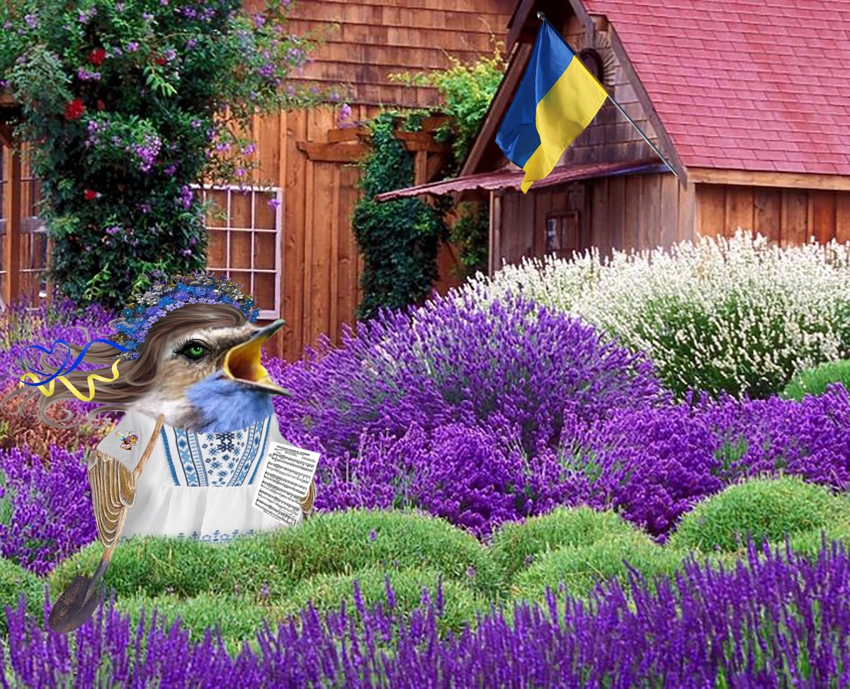 Fembot Fellarina tweet media