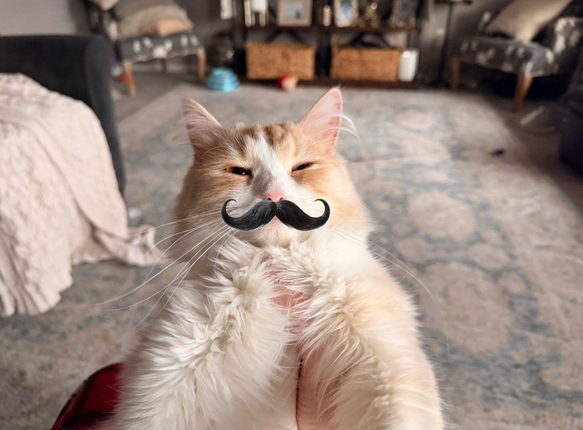 Roblox_Cat tweet media