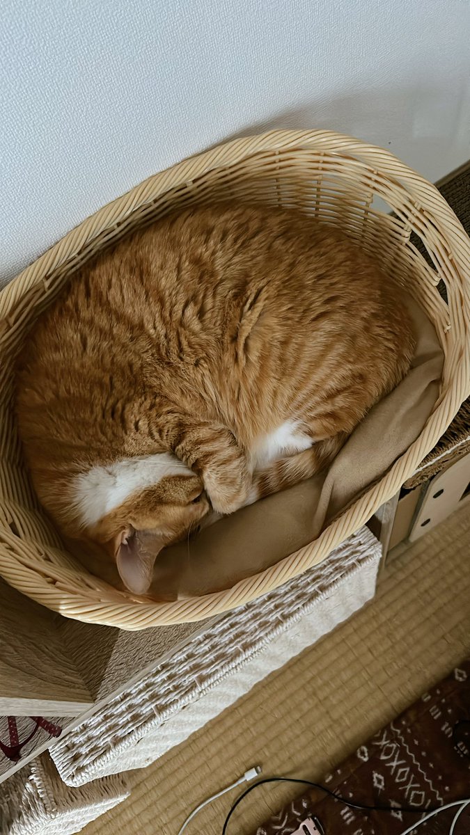 あいのすけちゃんねる tweet media