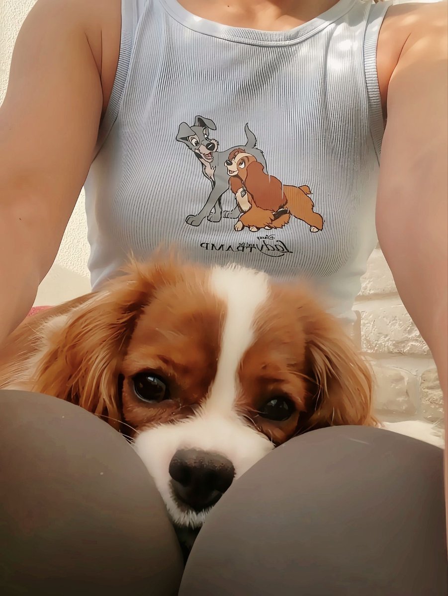 ๐๐๐๐ฅ๐๐ข๐๐, tweet media