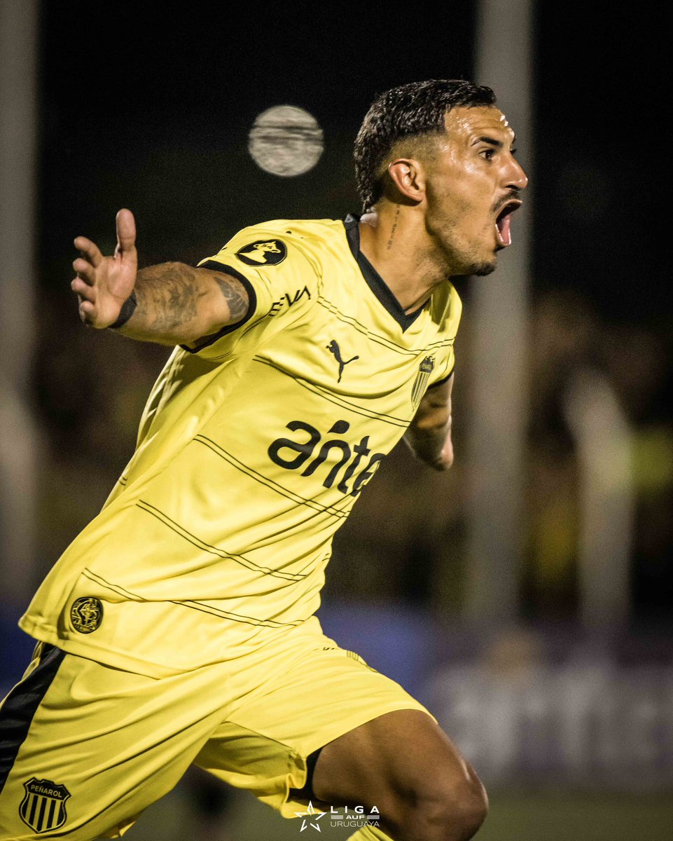 Matias Torres tweet media