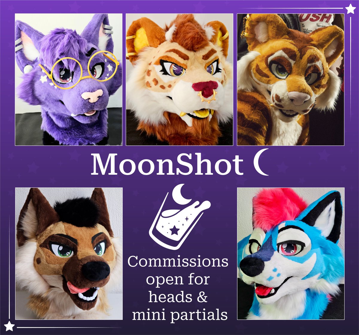 MoonShot 🌙 tweet media