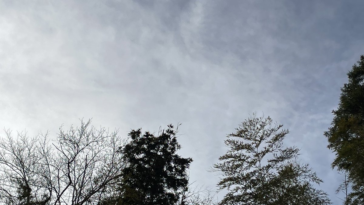 はかまる｜へっぽこ在宅ワーカー tweet media