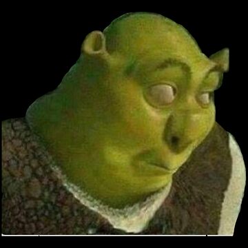 Fede✨Cervi tweet media